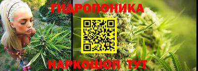 ГАЛЛЮЦИНОГЕННЫЕ ГРИБЫ Гатчина