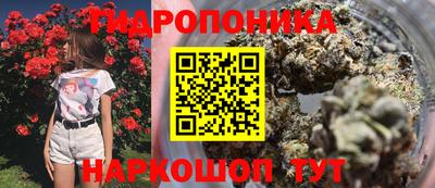 ГАЛЛЮЦИНОГЕННЫЕ ГРИБЫ Гатчина
