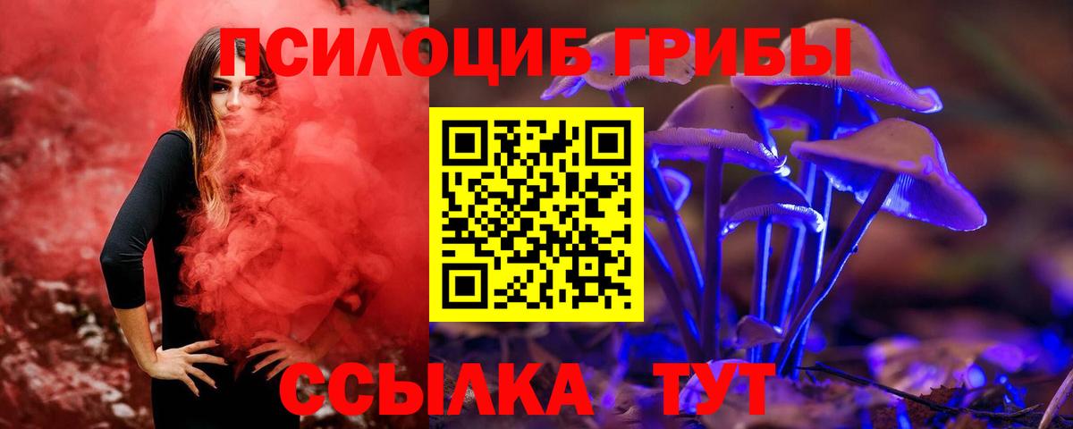 Псилоцибиновые грибы Psilocybe  Вход с VPN  Нижнеудинск 