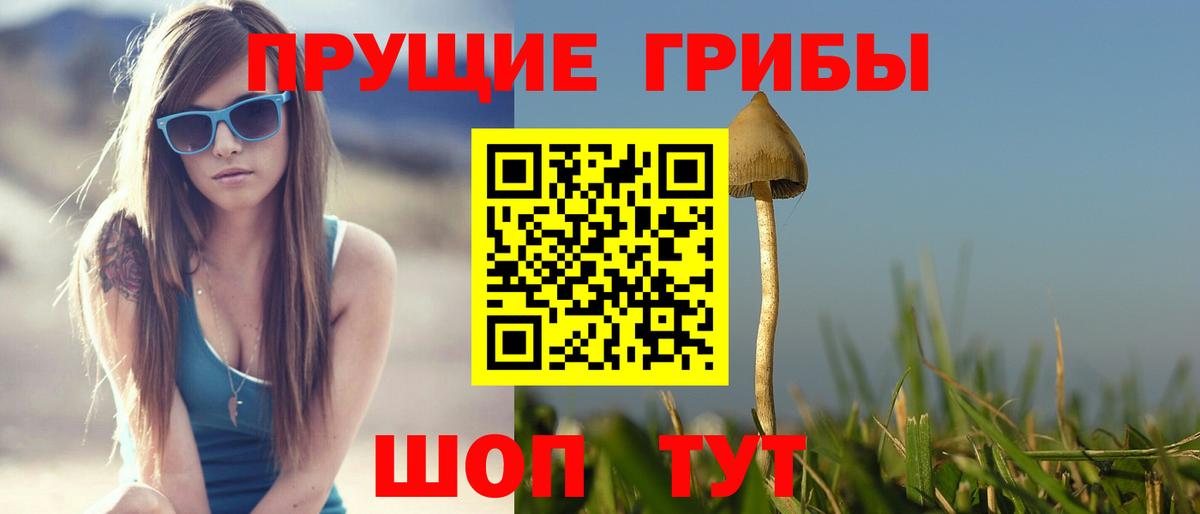 Галлюциногенные грибы мицелий Нижнеудинск